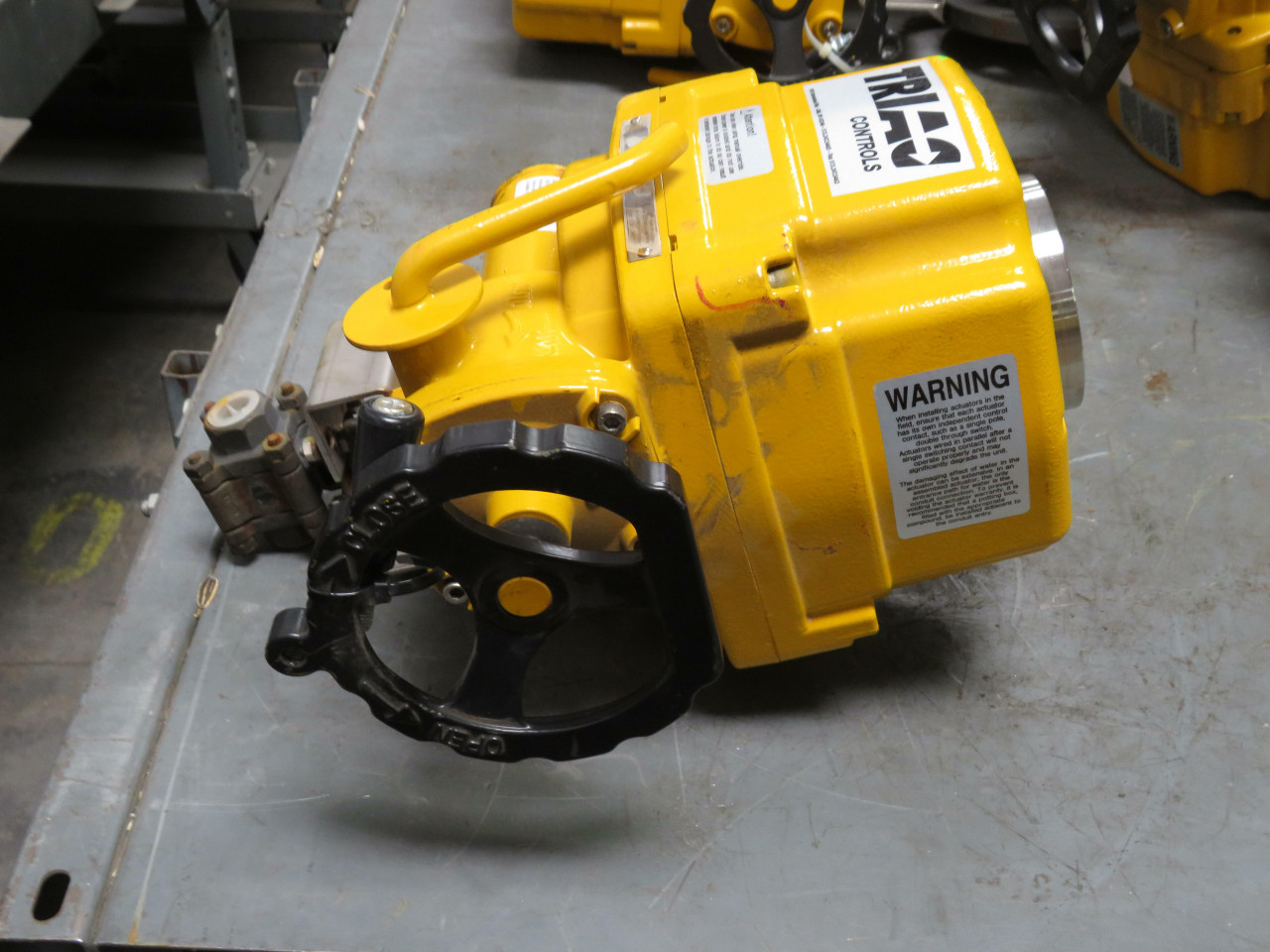 Triac Controls XED1350CXT Submesible Electric Actuator 1350 InLbs